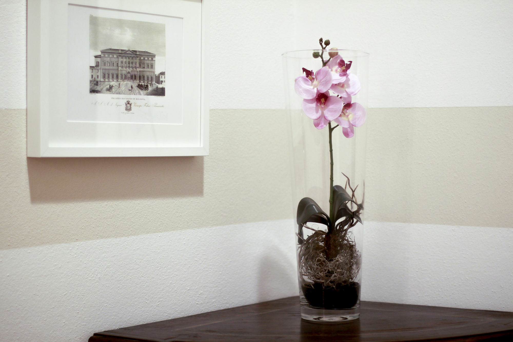 Casa Isolani Luxury Rooms Piazza Maggiore โบโลญญา ภายนอก รูปภาพ